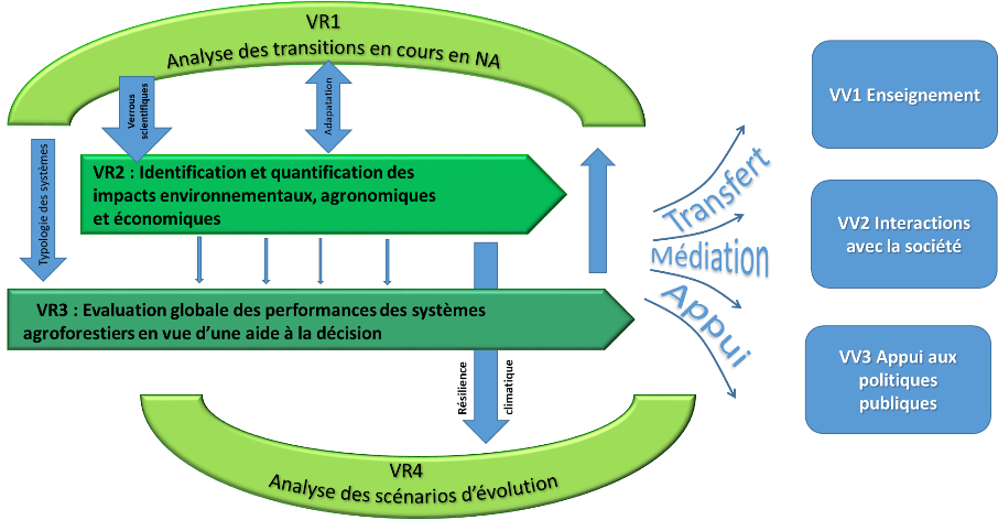 Actions concrètes participatives