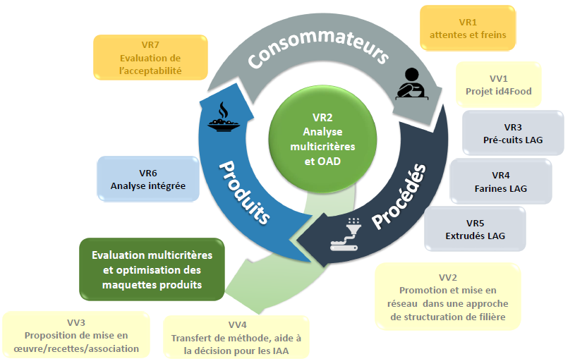 TRANSLAG schema