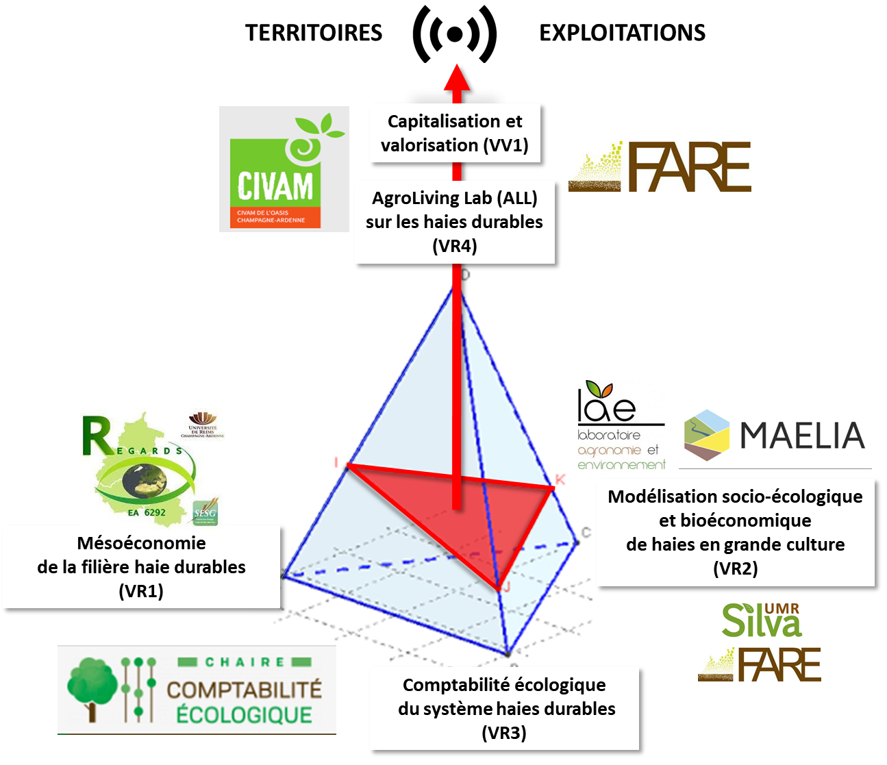 TETRA HAIES schema