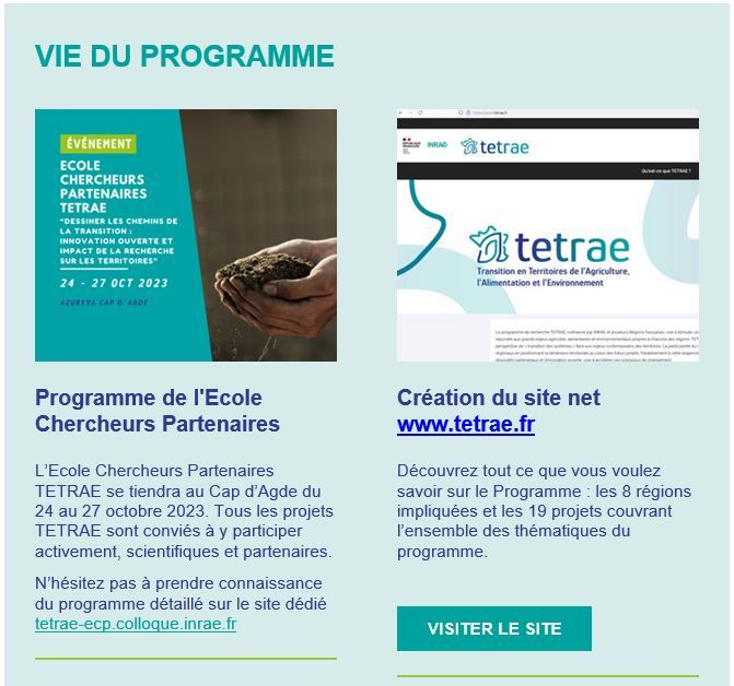 Infolettre 1 Capture 2