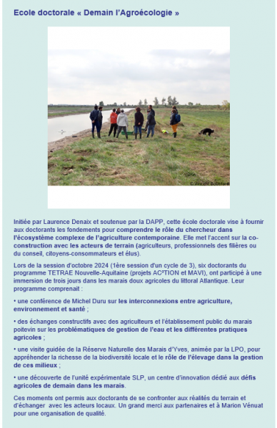 Infolettre 4 Capture 2